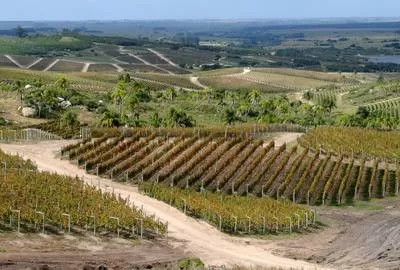 viagem_uruguai_2016_garzon