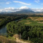 Curso de vinhos espanhóis