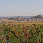 Tour de France: além de Bordeaux e Borgonha