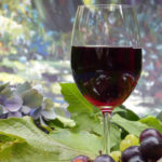 O Vinho e sua Degustação - Barra