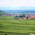 Formação de Sommelier e Profissionais do Vinho - Ciclo II - Barra
