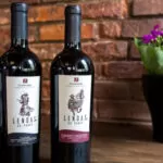Primeira aula do curso Vinhos Brasileiros