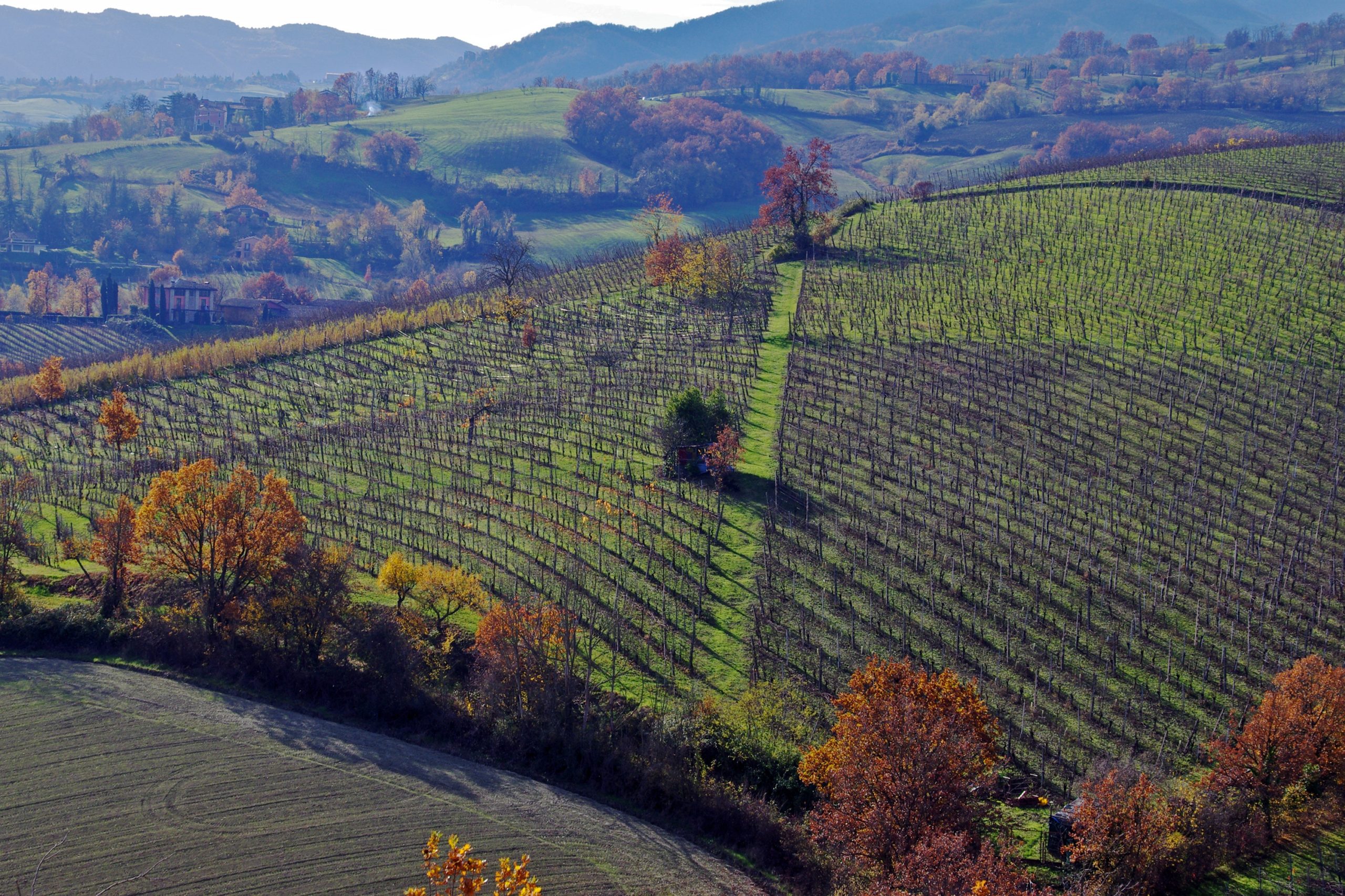 Vinhos Italianos De Emilia Romagna DocWine Cave Dor Flamengo ABS Rio