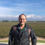 Vinhos argentinos e uruguaios - CURSO ONLINE