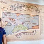Curso completo de vinhos dos EUA - ONLINE - NOVA DATA