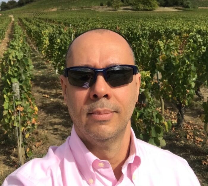 Descortinando o novo Mâconnais e seus excelentes vinhos de Chardonnay