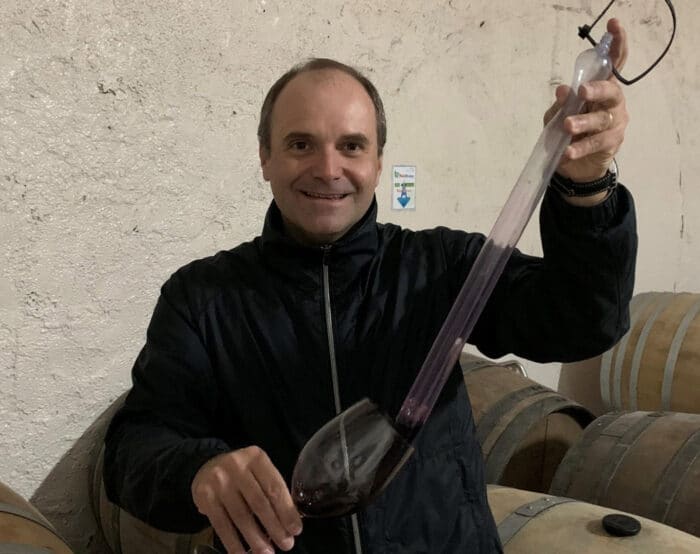 Vinhos alentejanos