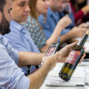 Curso Básico de Vinhos - Flamengo