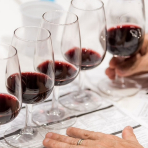 Formação de Sommeliers e Profissionais do Vinho - Ciclo I - 2025/2 - Flamengo