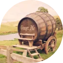 história do vinho