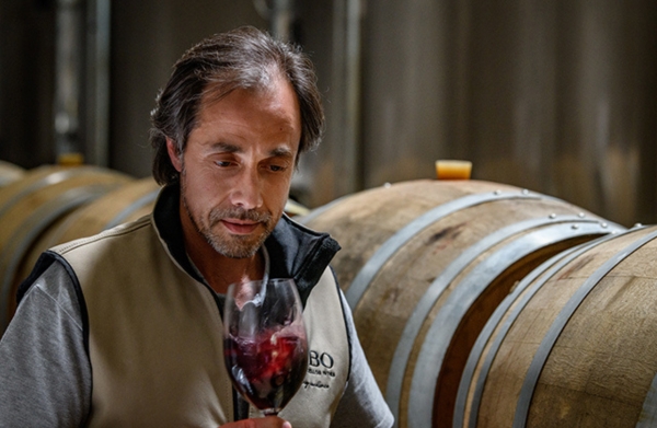 Degustação Lobo de Vasconcellos Wine (Portugal) / Prem1um Wines