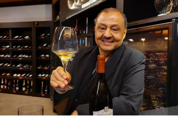 Masterclass O Vinho nas charges, cartuns, tiras e memes