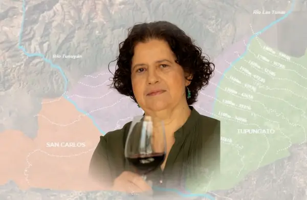 Masterclass Os vinhos e os terroirs de altitude de Mendoza