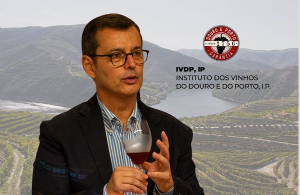 Treinamento de Vinhos do Porto - IVDP 