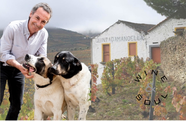 Degustação Vinícola Wine & Soul (Portugal) / Adega Alentejana 