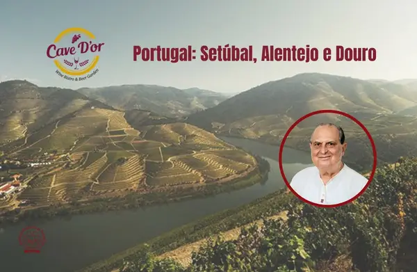 Degustação Portugal: Setúbal, Alentejo e Douro / Cave d’Or e Docwine