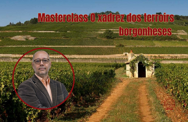 Masterclass O xadrez dos terroirs borgonheses