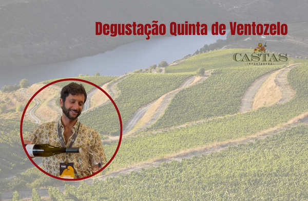 Degustação Quinta de Ventozelo - Douro (Portugal) / Castas
