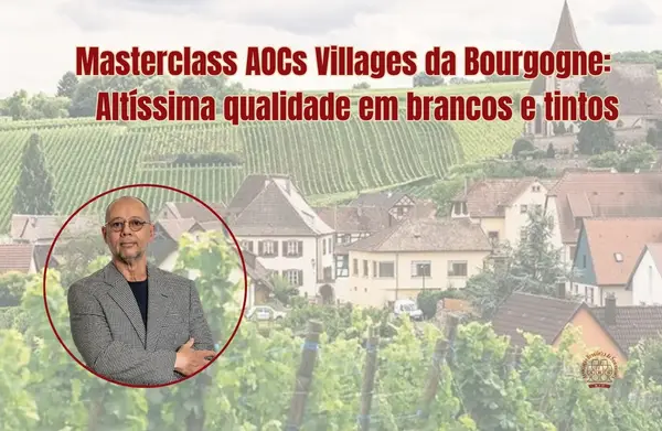 Masterclass AOCs Villages da Bourgogne: altíssima qualidade