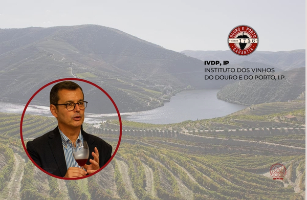 Treinamento de Vinhos do Porto - IVDP 2026
