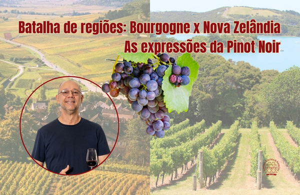 Batalha de Regiões: Bourgogne x Nova Zelândia – as expressões da Pinot Noir